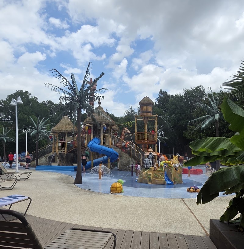 Safari Splash