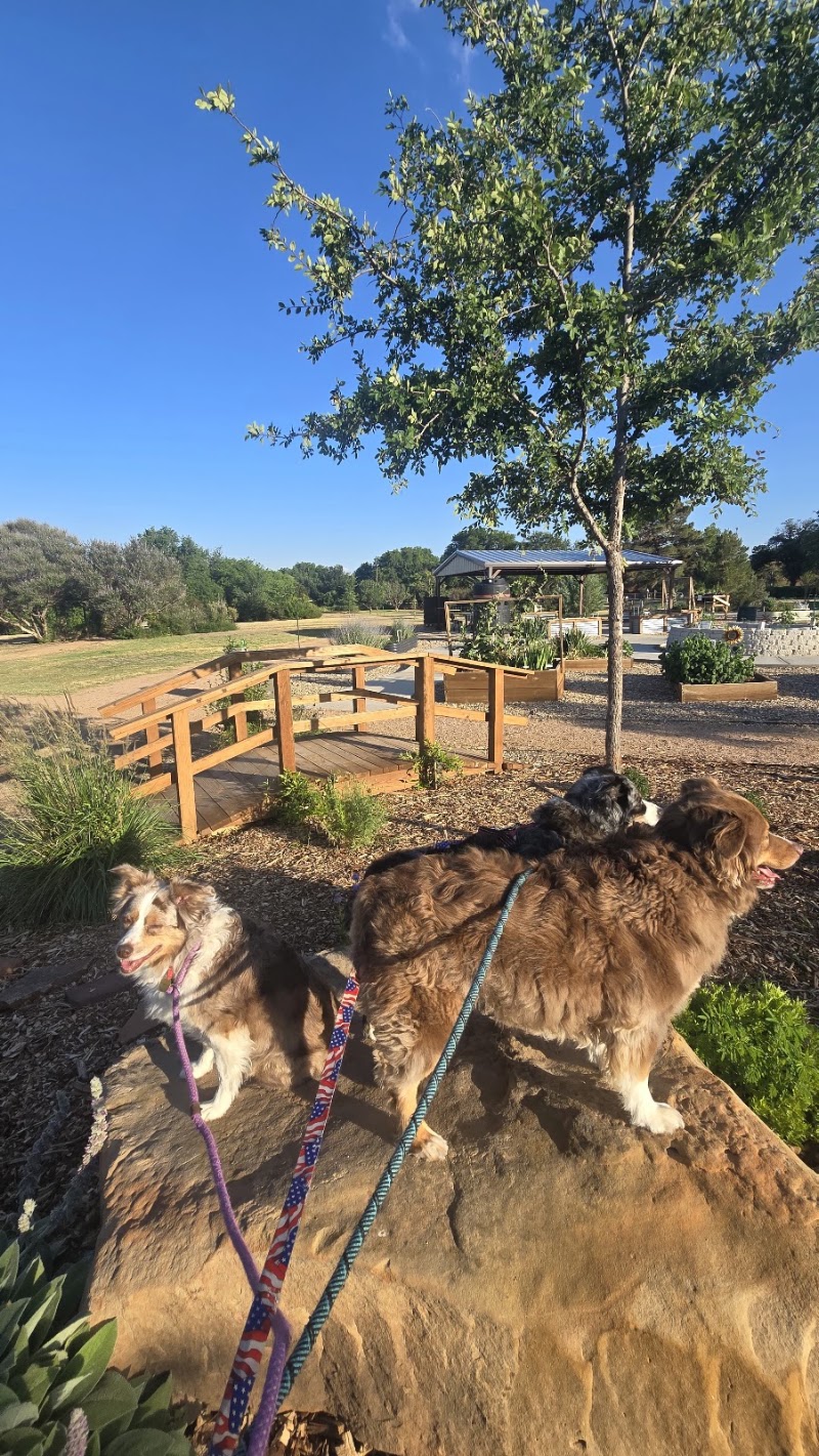 dog park