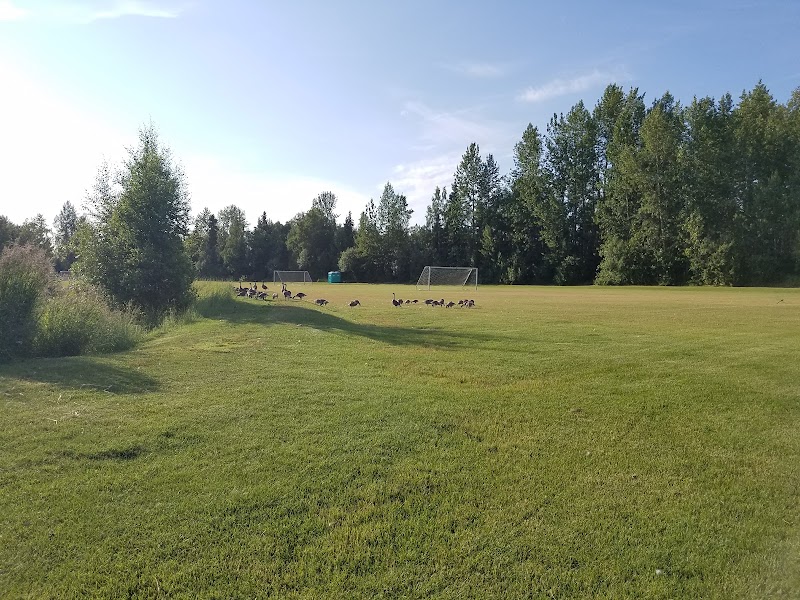 Wickersham Park