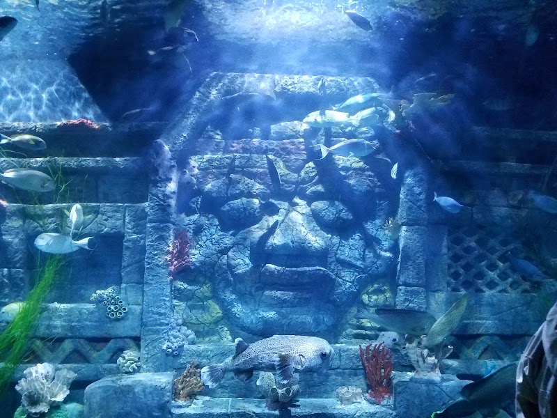 Downtown Aquarium - Houston, Texas
