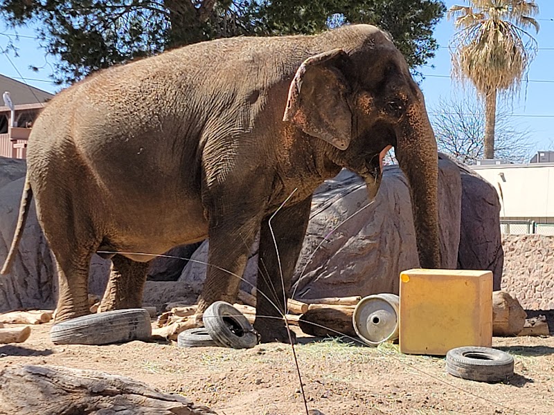 El Paso Zoo